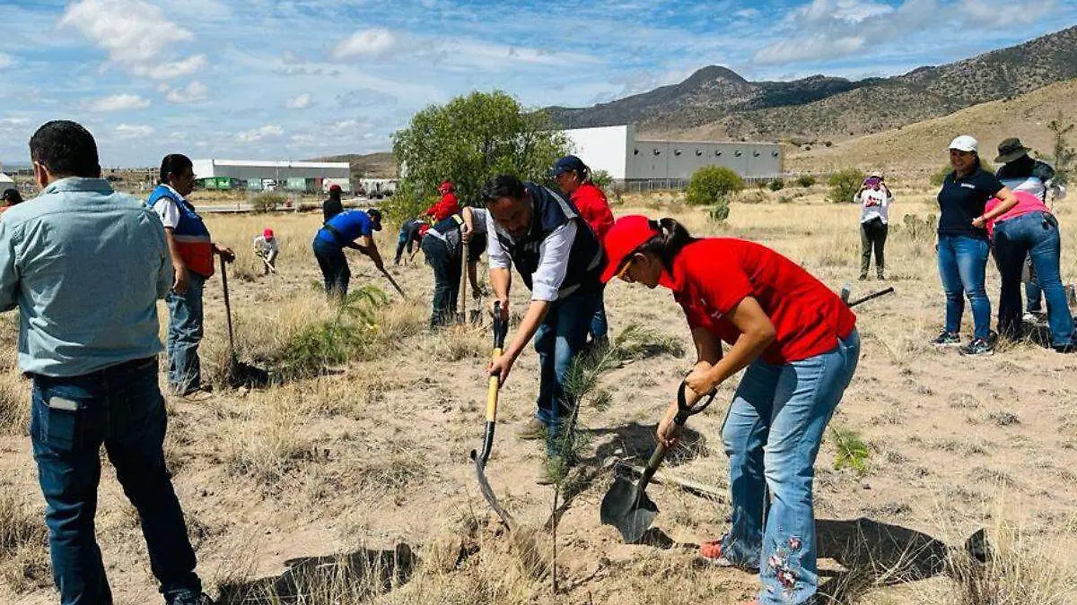 Reforestación IPAC (1)